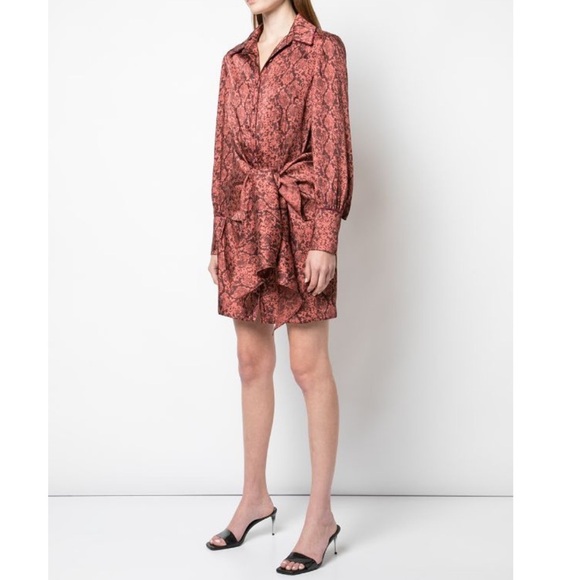 Cinq A Sept | Gaby Python Rosewood Shirt Dress 0 - Picture 9 of 16